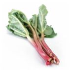 Bio Rabarber