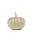 Bio Pompoen Crown Prince