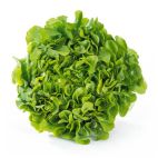 Bio Eikebladsla Groen